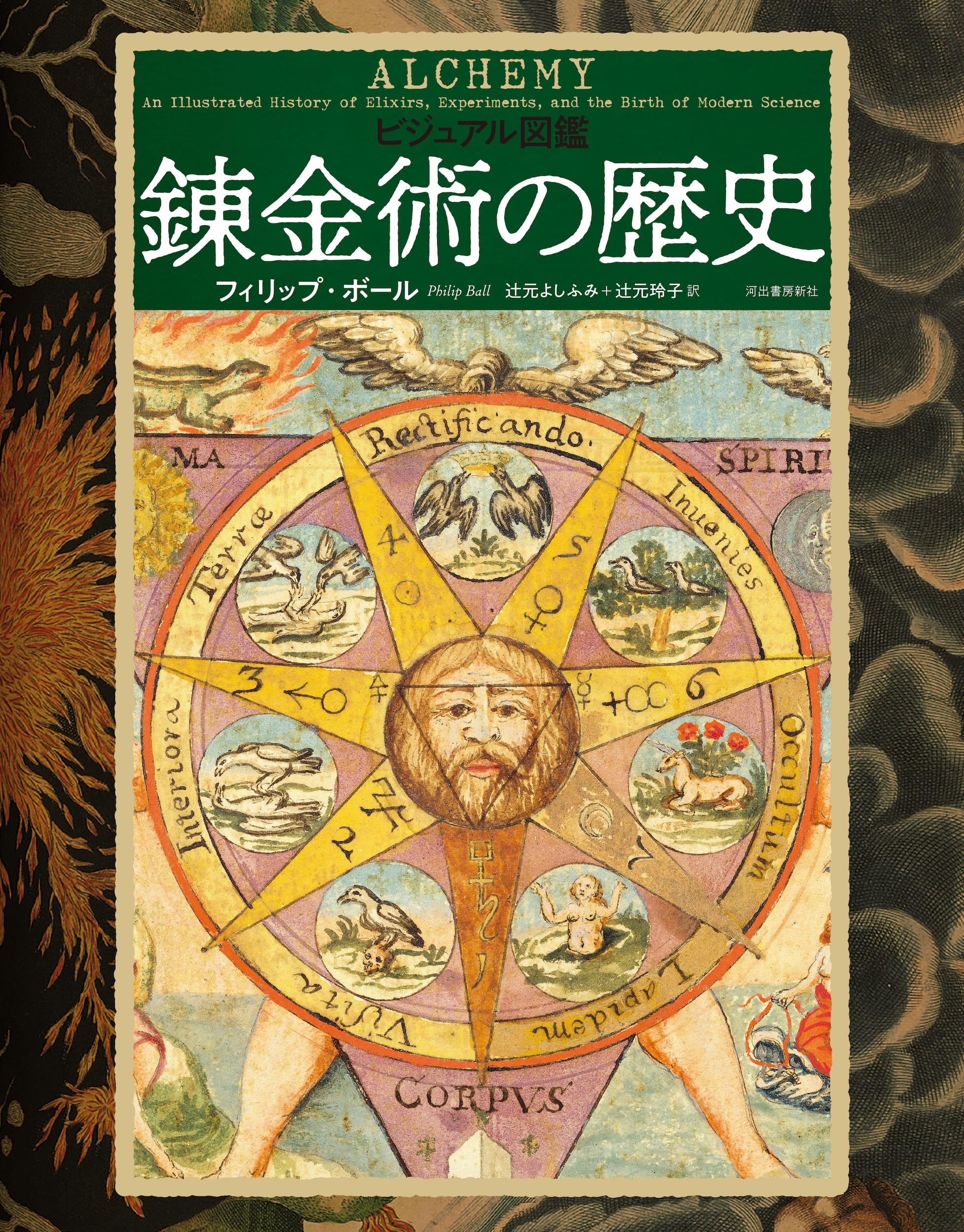 Amazon.co.jp: ビジュアル図鑑 錬金術の歴史 : フィリップ・ボール
